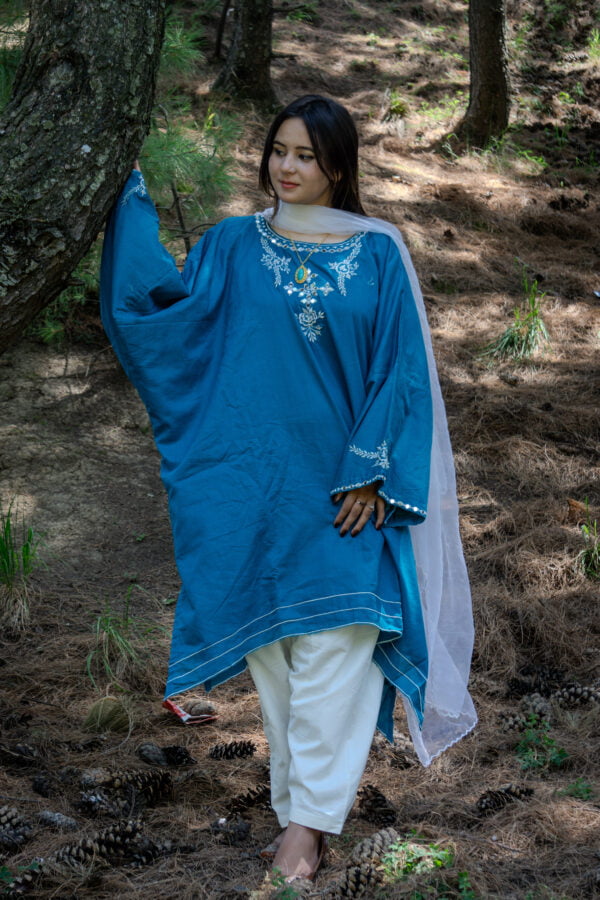 Blue Kashmiri Pakistani Style Suit